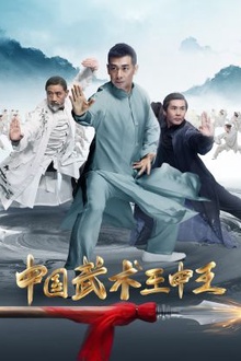 中国武术王中王