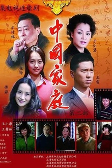 中国家庭之母爱[电影解说]