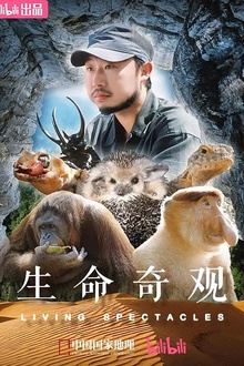 生命奇观