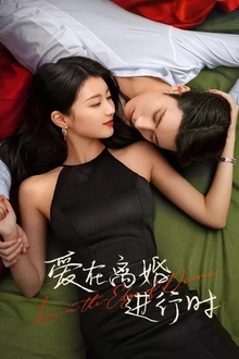 爱在离婚进行时