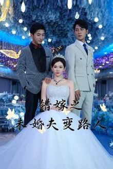 错嫁之未婚夫变路人