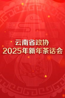 云南省政协2025年新年茶话会文艺