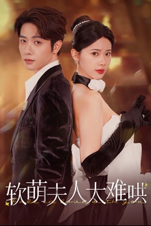 软萌夫人太难哄
