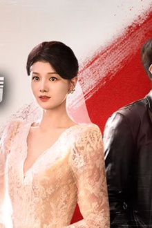 危险女婿