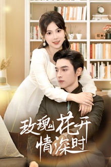 玫瑰花开情深时