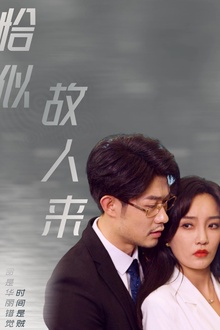 恰似故人来