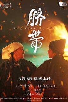 脐带2022[电影解说]