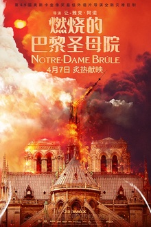 燃烧的巴黎圣母院[电影解说]