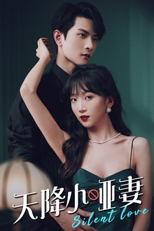 天降小哑妻