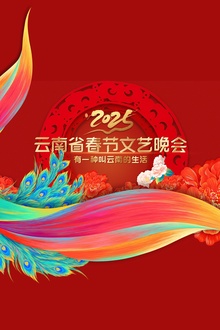 2025年云南省春节联欢晚会