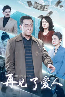 再见了爱人