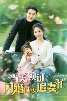 当天领证闪婚陆少追妻忙
