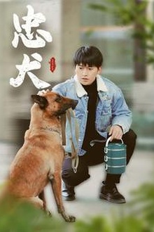 忠犬