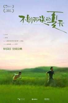 不期而遇的夏天[电影解说]