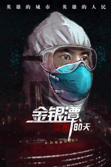 金银潭实拍80天[电影解说]
