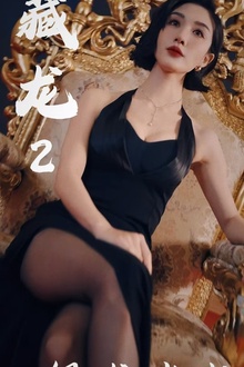 藏龙2银龙出水
