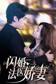 闪婚法医娇妻