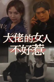 大佬女人不好惹
