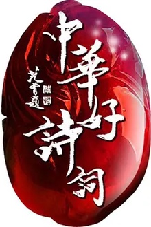 中华好诗词第五季