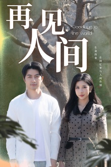 再见人间