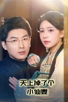 天上掉了个小仙妻