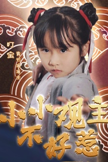 小小观主不好惹