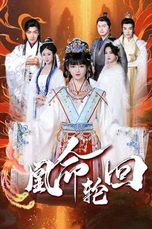 凰命轮回