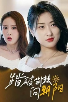 踏破荆棘向朝阳