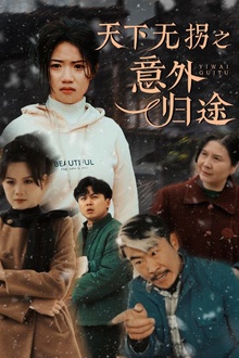 天下无拐之意外归途