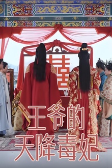 王爷的天降毒妃