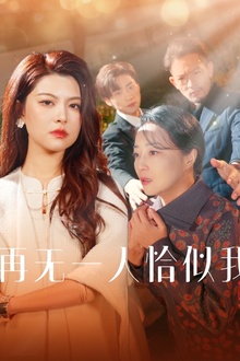 再无一人恰似我