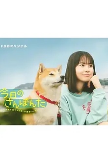 今日份的散步
