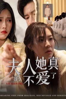 夫人她真的不爱了