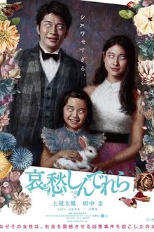 哀愁灰姑娘[电影解说]