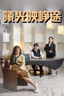 曦光映峥途（错把瓦砾当明珠）