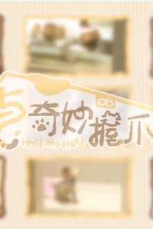与奇妙握爪