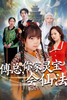 傅总你家灵宝会仙法（傅家灵宝会仙法）