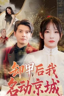 卸甲后我名动京城