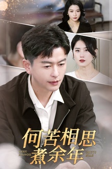 何苦相思煮余年