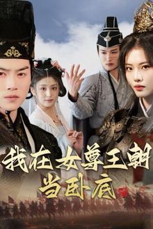我在女尊王朝当卧底