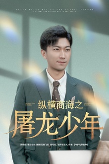 纵横商海之屠龙少年