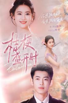 桔梗盛开时（她的小桔梗）