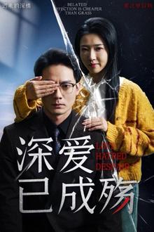 深爱已成殇