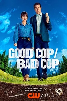 好警察/坏警察