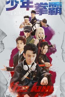少年拳霸