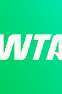 WTA斯图加特站第二日 尼迈尔2-1西格蒙德20250415