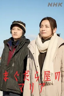 抹大拉屋的马利亚