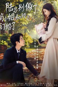 陆总别傲了，简小姐和顾总订婚了