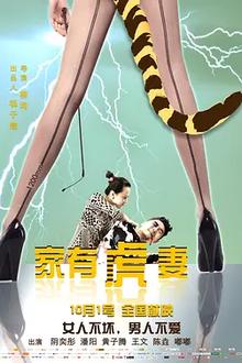 家有虎妻2015